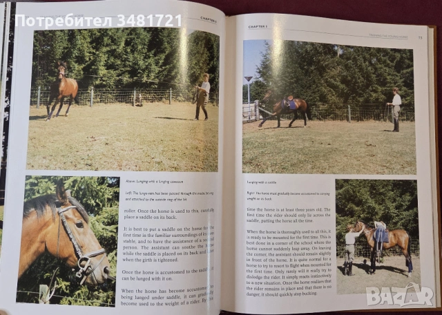 Конете и конните спортове / The Horse and Equestrian Sport, снимка 8 - Енциклопедии, справочници - 53748615