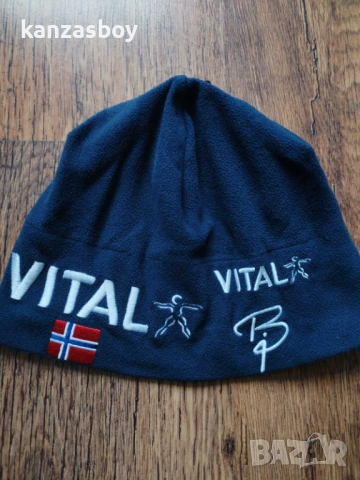 Bjorn Daehlie - страхотна зимна шапка 