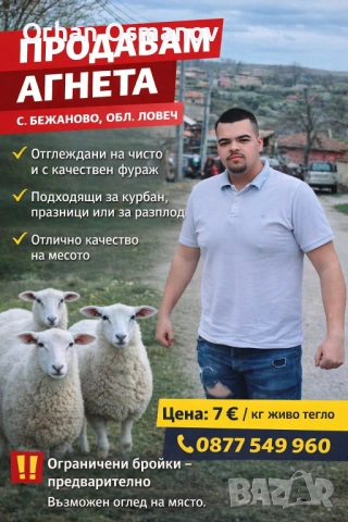 Агнета