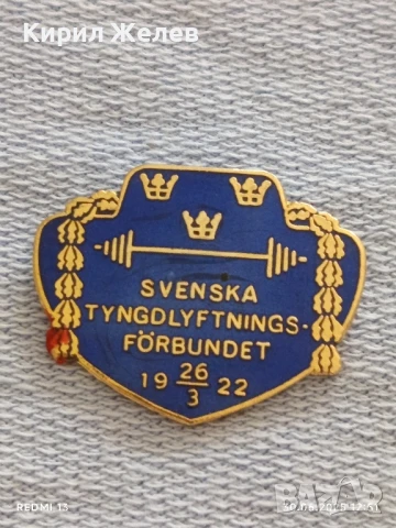 Рядка значка с емайл на ШВЕДСКАТА АСОЦИАЦИЯ по ВДИГАНЕ НА ТЕЖЕСТИ 29392, снимка 4 - Колекции - 50847208