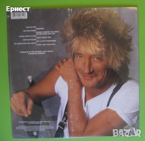 Щатски грамофонни плочи, първопреси, запечатани, снимка 9 - Грамофонни плочи - 31416604