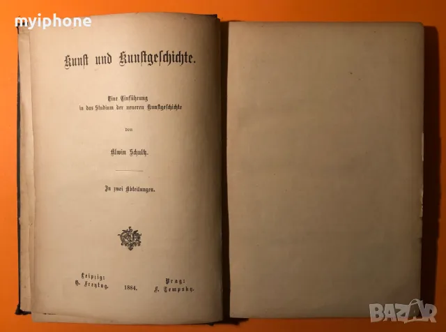 Стара Книга Изкуство История на Изкуствата Алвин Шулц 1884 г. на Немски, снимка 4 - Антикварни и старинни предмети - 49296538