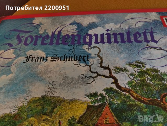 SCHUBERT, снимка 2 - Грамофонни плочи - 45668052