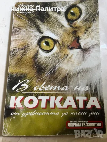 В света на котката