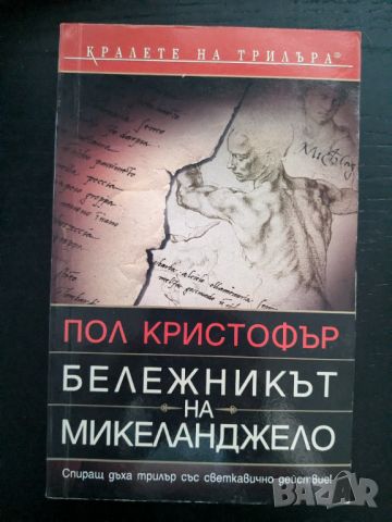 Бележникът на Микеланджело, снимка 1 - Художествена литература - 46747050