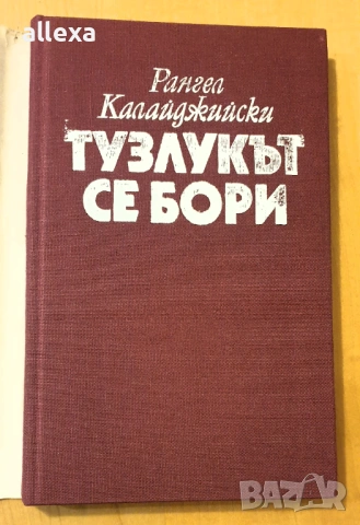 " Тузлукът се бори " - Рангел Калайджийски , снимка 2 - Българска литература - 43484634