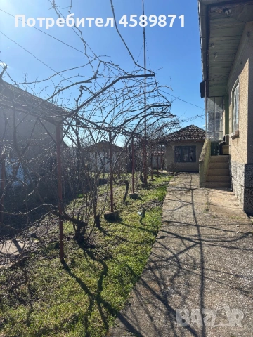 Вашето бягство в Сребърна: Здрава къща с огромен двор и лозе!, снимка 4 - Къщи - 53751084