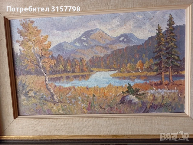 Картина - пейзаж, снимка 1