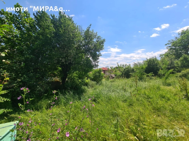 КЪЩА в с. Клокотница обл. Хасково, снимка 3 - Къщи - 52534309