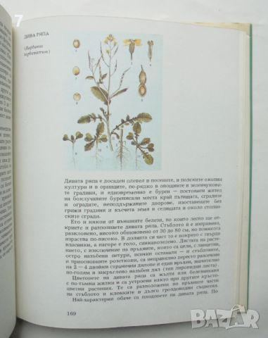 Книга Атлас по ботаника - Славчо Петров, Емануил Паламарев 1994 г., снимка 3 - Други - 46388553