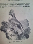 100-годишна антикварна ценност: „Зоология“ (1926) – Изд. Хр. Г. Данов, снимка 14