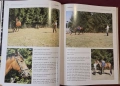 Конете и конните спортове / The Horse and Equestrian Sport, снимка 8