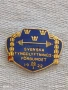 Рядка значка с емайл на ШВЕДСКАТА АСОЦИАЦИЯ по ВДИГАНЕ НА ТЕЖЕСТИ 29392, снимка 4