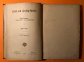 Стара Книга Изкуство История на Изкуствата Алвин Шулц 1884 г. на Немски, снимка 4