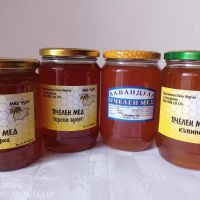 Уникален натурален пчелен мед МАГАРЕШКИ БОДИЛ, ГОРСКИ БУКЕТ, КЪПИНА, МАЩЕРКА и ЛАВАНДУЛА, снимка 1 - Пчелни продукти - 45682396