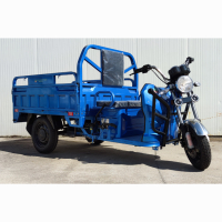 Електрическа карго триколка EcoWay JLII150 с документи за регистрация, снимка 3 - Мотоциклети и мототехника - 44078384