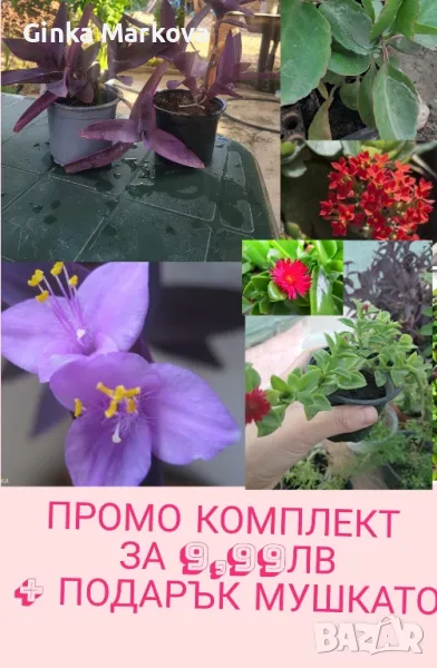 ❗️✅️🦋🌼🌸🐞ПРОМО КОМПЛЕКТ САМО СЕГА + ПОДАРЪК МУШКАТО🌼✅️🦋🌼🐞❗️, снимка 1