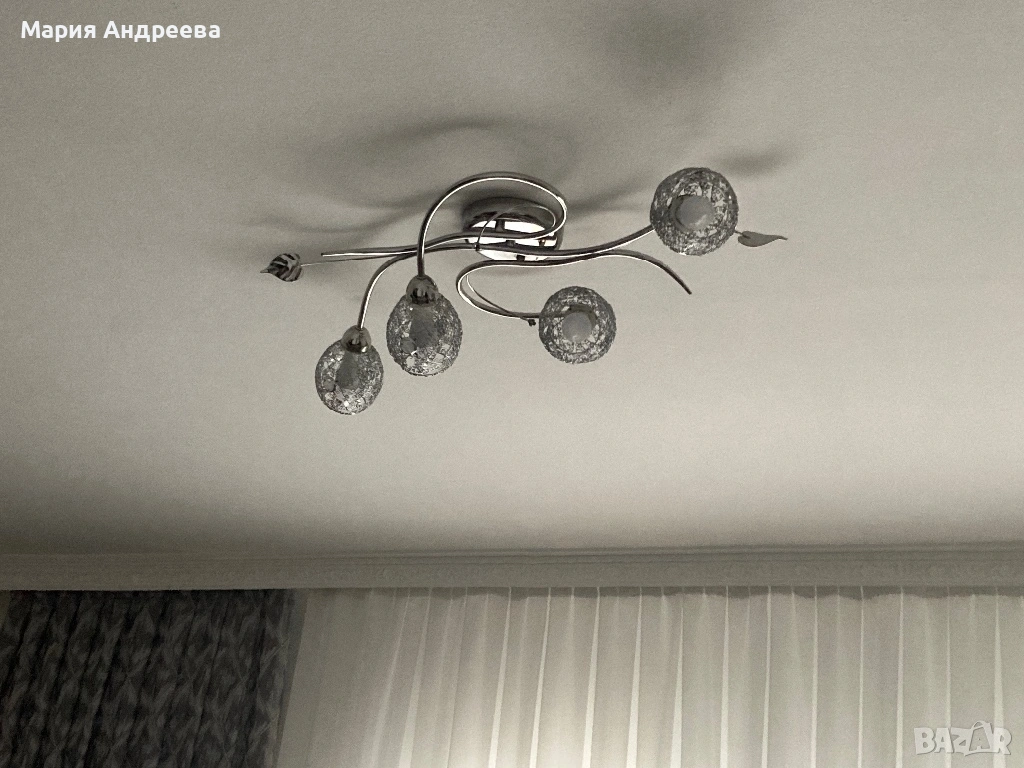 Елегантен полюлей, снимка 1