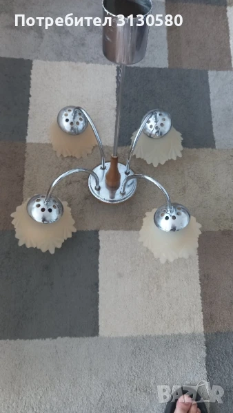 полилей  , снимка 1