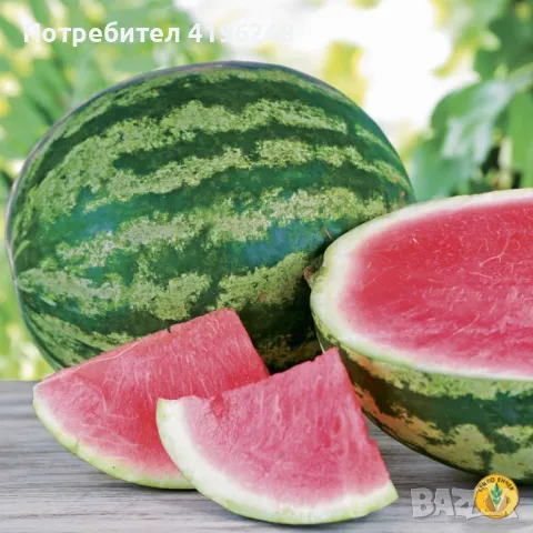 Продавам дини на едро(сорт кримсон), снимка 1 - Домашни продукти - 46869240