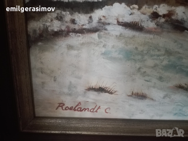 Картини  маслени бои върху платно., снимка 9 - Картини - 51151669