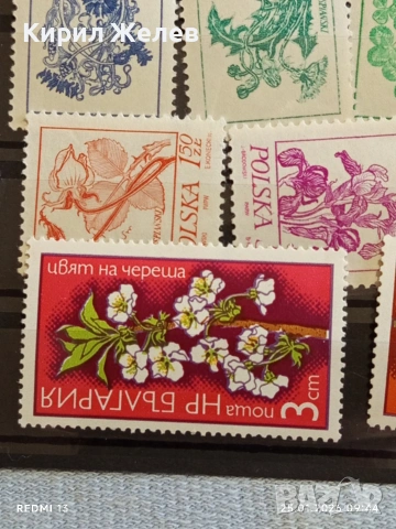 Стари пощенски марки от цял свят смесени ЦВЕТЯ за КОЛЕКЦИЯ ДЕКОРАЦИЯ 52116, снимка 7 - Филателия - 53217789