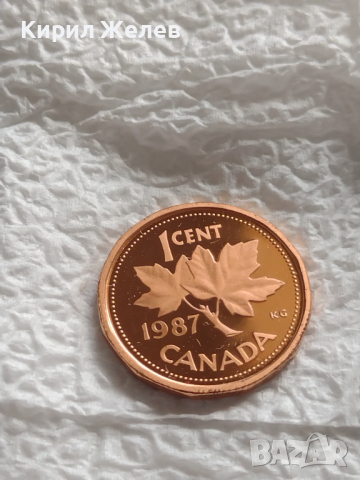 Лот монети 12 броя Канадски долара, центове непипани мат гланц перфектно състояние 43634, снимка 13 - Нумизматика и бонистика - 45020832
