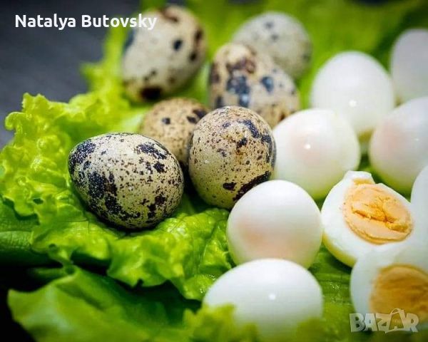 Яйца за консумация,  оплодени яйца от кокошки, лебедови гъски , снимка 6 - Кокошки и пуйки - 45762299