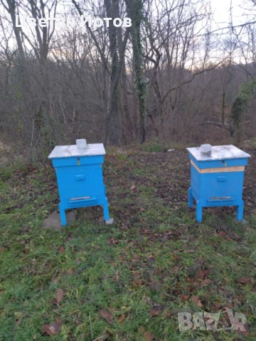 продавам 4бр. кошери, заедно с пчелни семейства и инвентар, снимка 2 - За пчели - 53244114