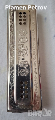 детски синтезатор и HOHNER хармоники , снимка 12 - Синтезатори - 51469975