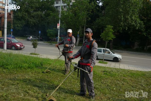Косене на трева, рязане на дървета, почистване на дворове , снимка 2 - Хамалски услуги - 45967304