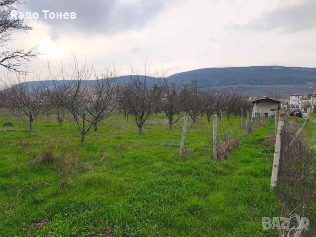 Дивдядово -Парцел с малка постройка - земеделска земя, снимка 9 - Парцели - 53995661