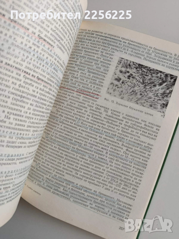 Съдебна медицина, снимка 4 - Специализирана литература - 53681354