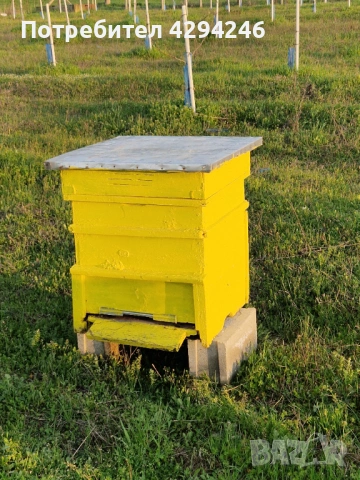 Пчелни кошери , снимка 2 - За пчели - 54136099