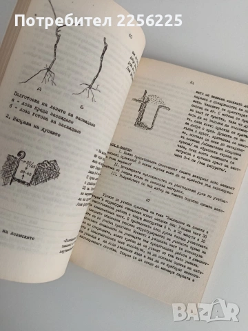  Методика на обучението по растениевъдните дисциплини с педагогическа практика, снимка 5 - Специализирана литература - 53075425