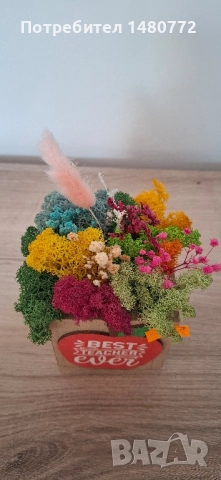 Дървени кашпи със скандинавски мъх за учител, снимка 6 - Декорация за дома - 51483212