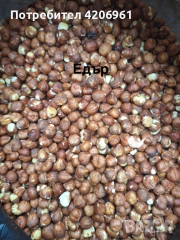 Продавам лешници на ядка 22лв., снимка 2 - Домашни продукти - 52718065
