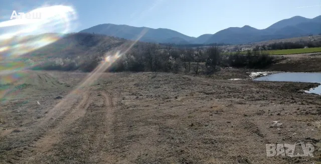 земя нива 10 дка в с. Новаково , снимка 8 - Земеделска земя - 49779988