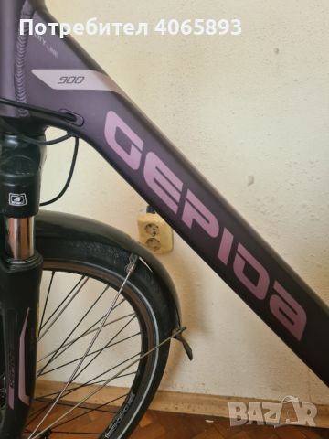 Електрическо колело Gepida Reptila , снимка 6 - Велосипеди - 45353560