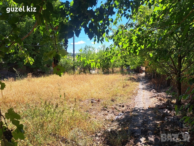 Къща в село Езерово, снимка 5 - Къщи - 52945242