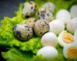 Яйца за консумация,  оплодени яйца от кокошки, лебедови гъски , снимка 6