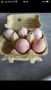 Пресни яйца от аям кемани, снимка 3
