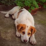 Търся работа ,може и за събота и неделя 